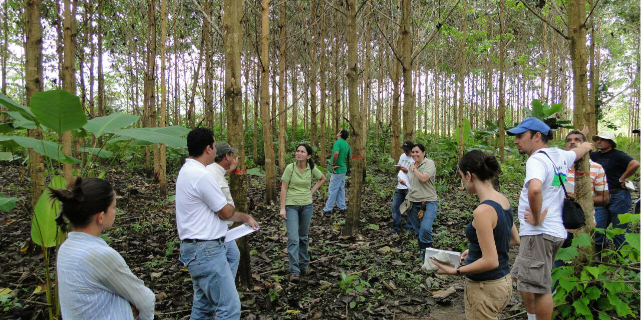 Ingeniería en Gestión Ambiental - Universidad Nacional