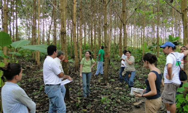 Ingeniería en Gestión Ambiental