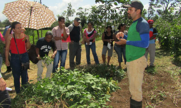 Ingeniería en Agronomía