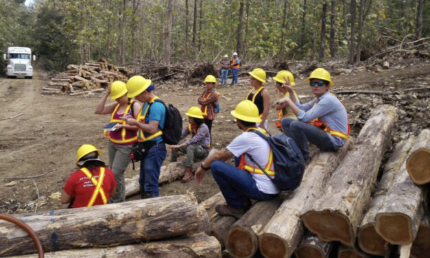 Ingeniería en Ciencias Forestales